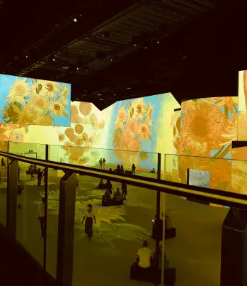 gallery