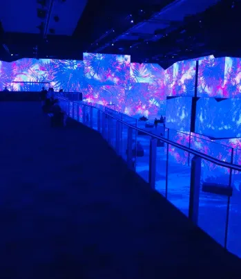 gallery